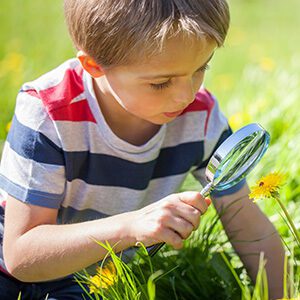 student looking at flower with magnifying glass. our community